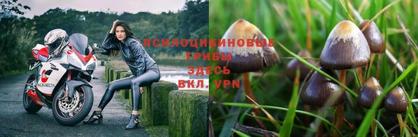 герыч Гусев